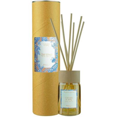 Ambientair Caramel & Apple Αρωματικό χώρου με στικς 100ml Special Edt